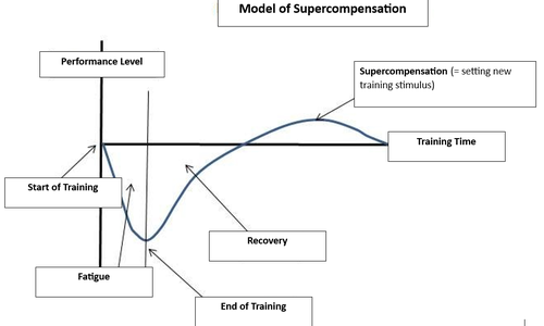 Superkompensation (Englisch)